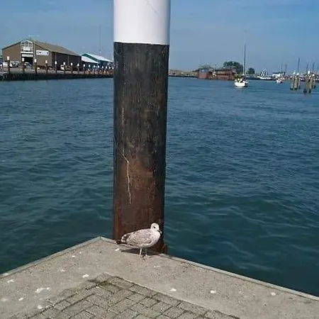 Agterdekoog בית הארחה