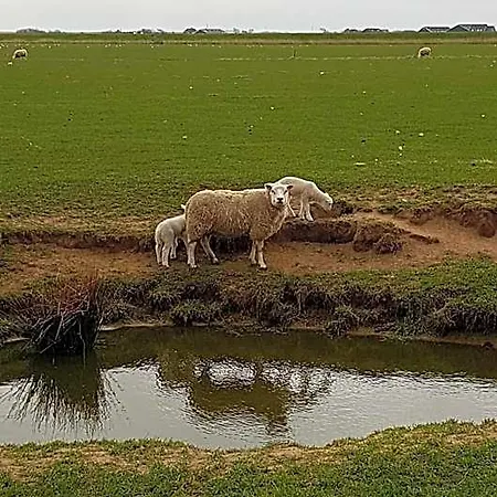 Agterdekoog * De Koog (Texel)
