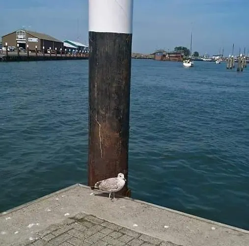 Agterdekoog 招待所